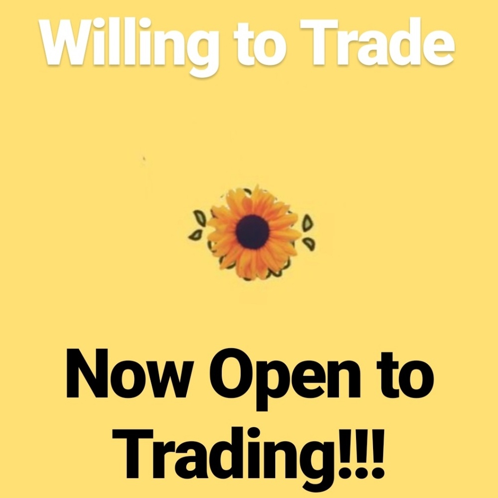 New Trader for Now